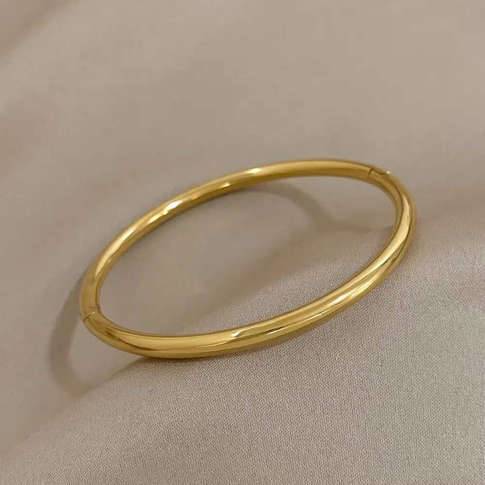 Bracelet en Acier Inoxydable avec Zircons, Plaque en Or, Style Classique pour Femme